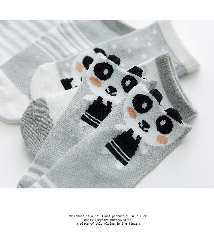 Cute Character Baby Socks - 5 Pairs (Newborn - 2T)